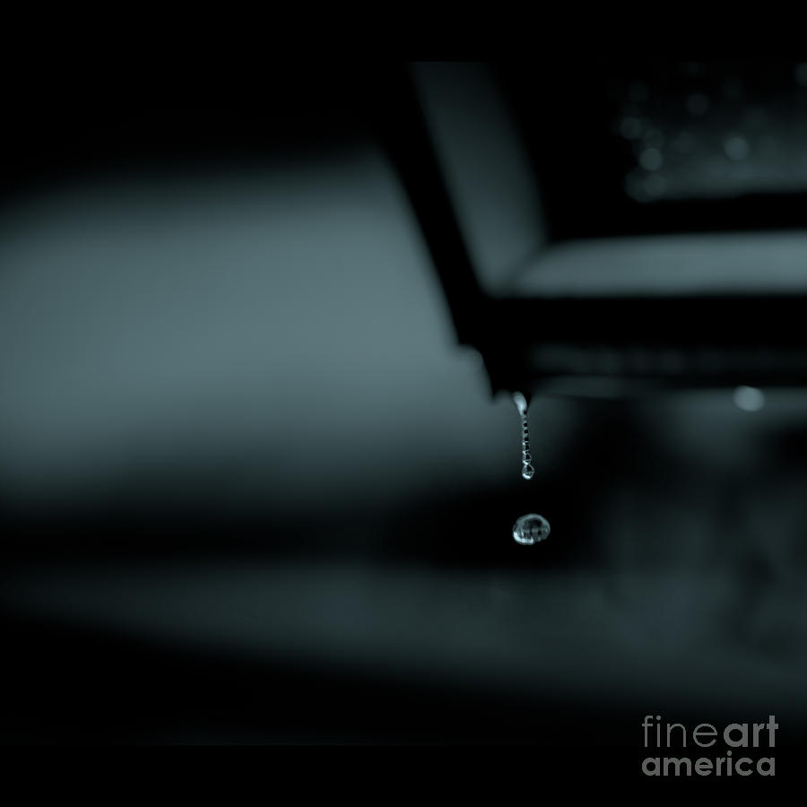 A Water Droplet Photograph by Venura Herath