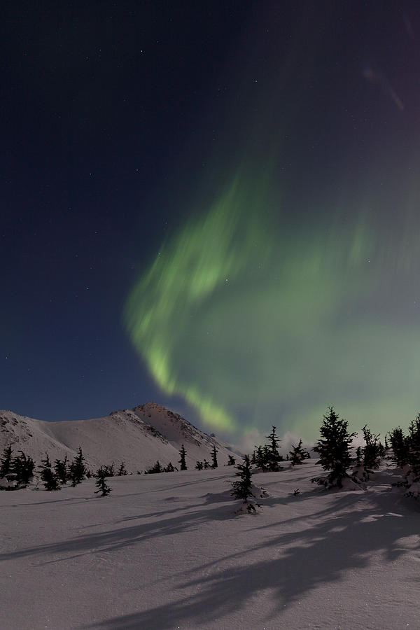 Anchorage Photograph - A Wave of Auroras by Tim Grams