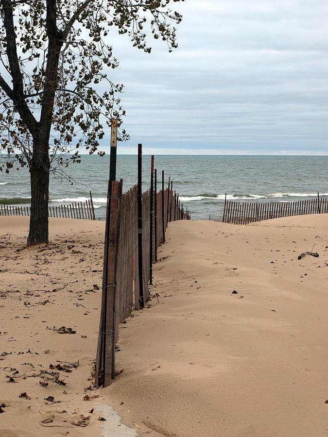 A Windy Day at the Beach Photograph by Mike Stanfield - Fine Art America