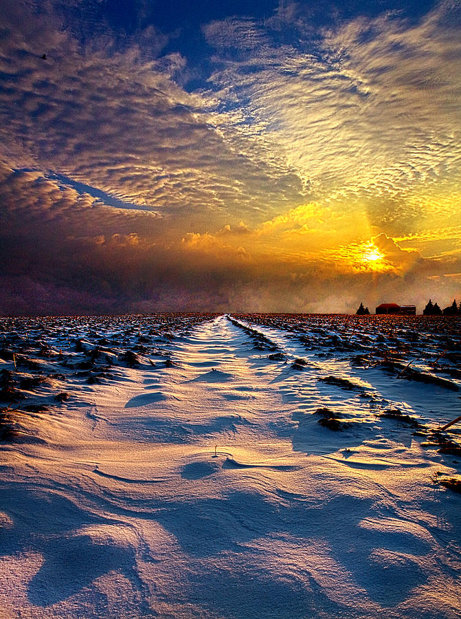 Landscape Photograph - A Winter Courtship by Phil Koch