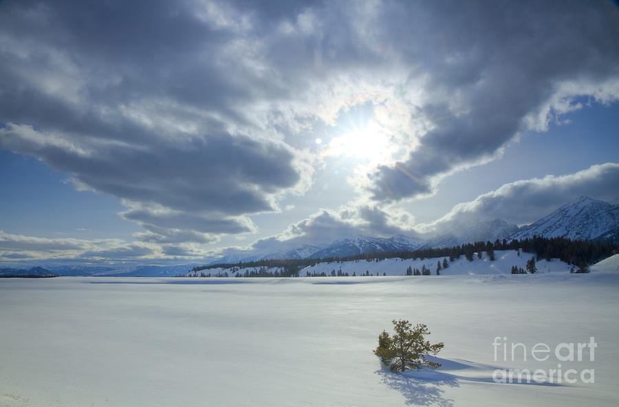 Winter Sky