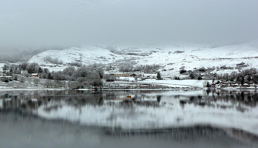 A Winters Scene Photograph by Lynn Bolt
