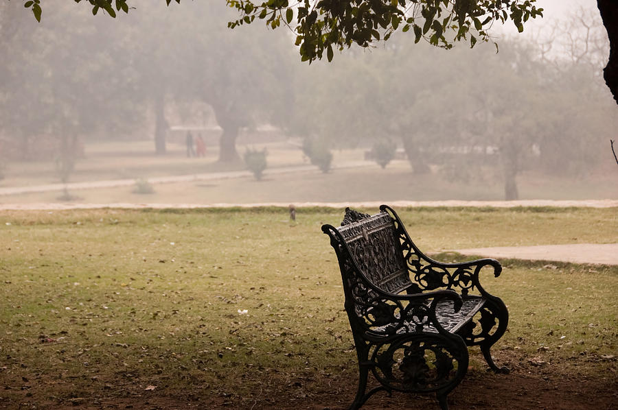 A wrought iron black metal bench under a tree in the Qutub Minar compound Photograph by Ashish Agarwal