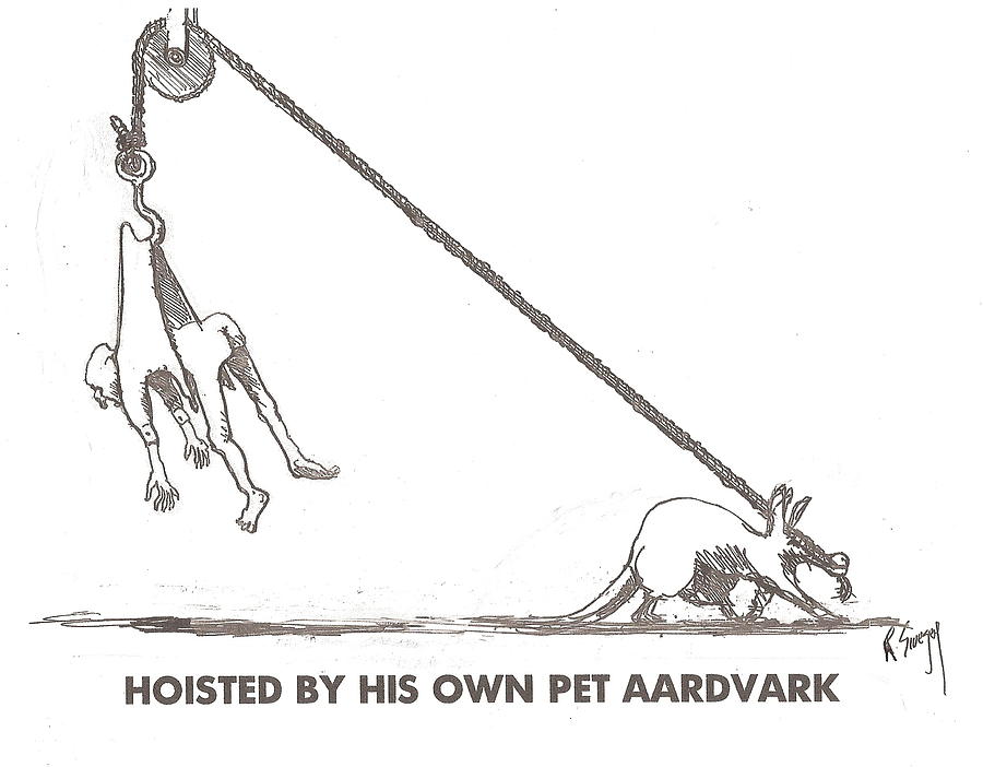 Aardvark Drawing by R  Allen Swezey