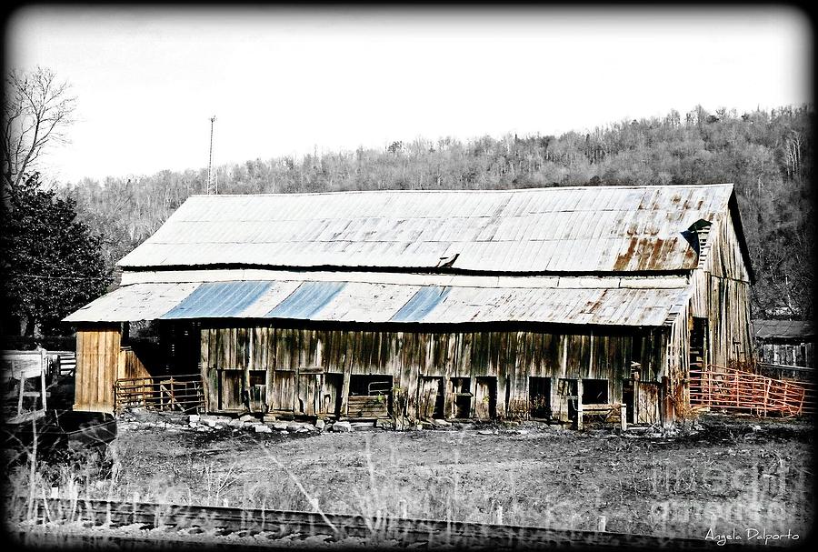 Barn Photograph - Abandoned by Angela Dalporto