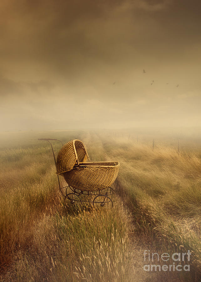 Abandoned antique baby carriage in field Photograph by Sandra Cunningham