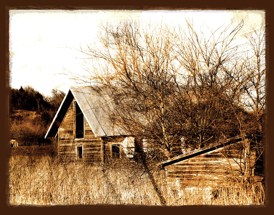 Abandoned Barn  Photograph by Ann Powell