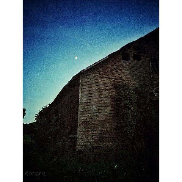 Barn Photograph - Abandoned Barn by Natasha Marco