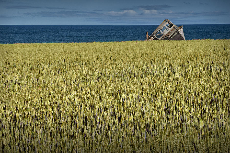 abandoned boat named the Jamie G. on the edge of a farm field on Prince Edward Island Photograph by Randall Nyhof