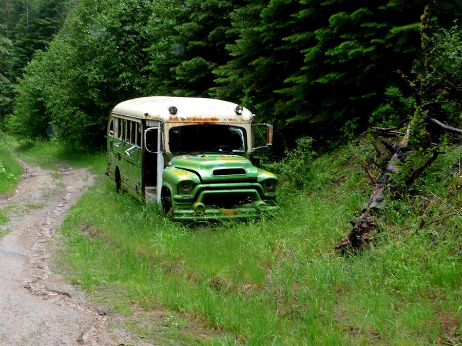 Abandoned Bus Photograph by Jo Sheehan
