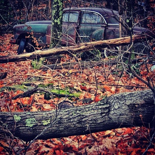 Fall Photograph - Abandoned Car In Lehman by John Robinson