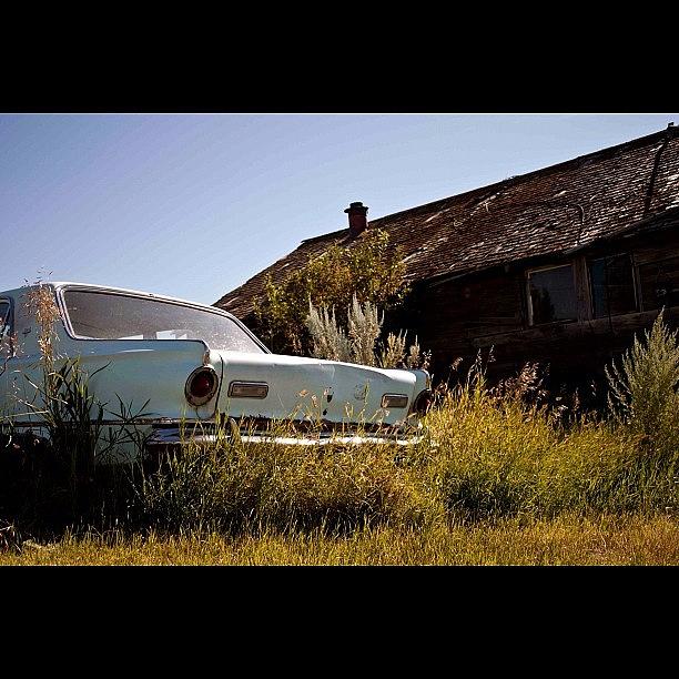 Car Photograph - #abandoned #car #shack #ghosttown by Amanda Beattie