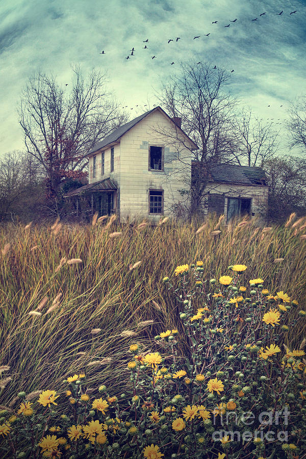 Abandoned country farmhouse overgrown with tall grasses Photograph by Sandra Cunningham
