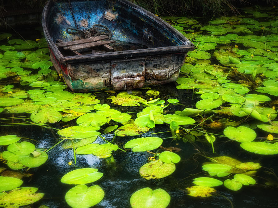Dingy Photograph - Abandoned Dingy by Barry Teutenberg