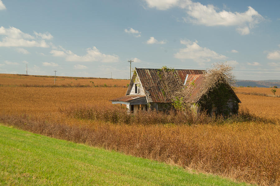 Abandoned Farmhouse in Field 1 Photograph by Douglas Barnett