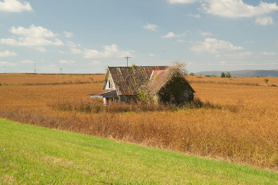 Abandoned Farmhouse in Field 2 Photograph by Douglas Barnett