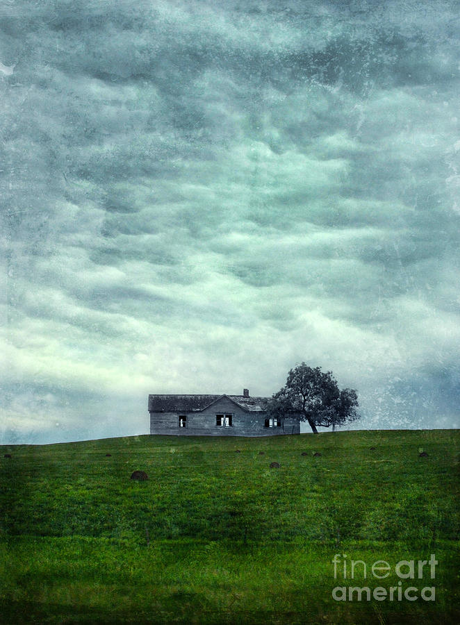 Abandoned Farmhouse Photograph by Jill Battaglia
