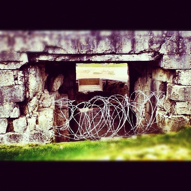 Wire Photograph - Abandoned German Bunker Wwii #war by CactusPete AZ