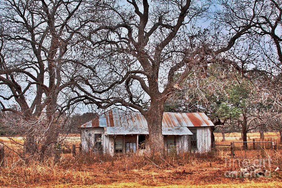 Tree Photograph - Abandoned House 512.3 by Joe Finney