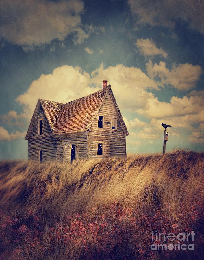 Abandoned house in sand dunes Photograph by Sandra Cunningham