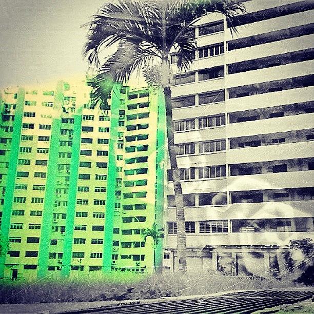 Abandoned Housing Estate At Zion Road 1 Photograph by Szu Kiong Ting