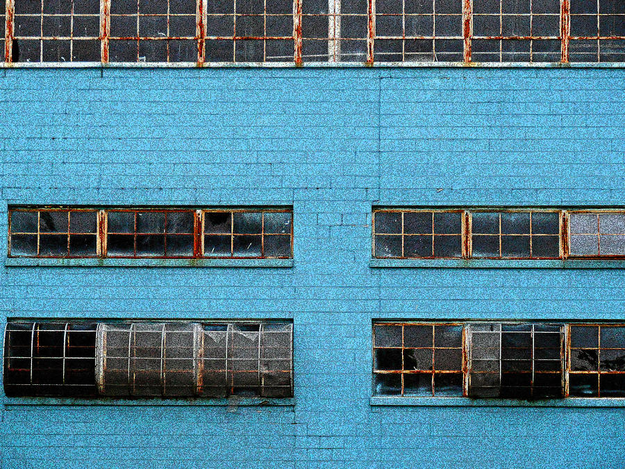 Abandoned Ink Factory Photograph by Cyryn Fyrcyd