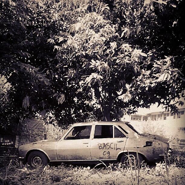 Car Photograph - Abandoned Peugeot by Daus Hado