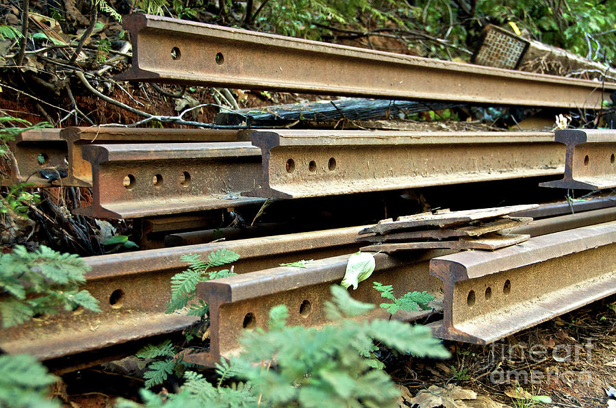 Train Photograph - Abandoned Railroad Tracks by Jason Waugh