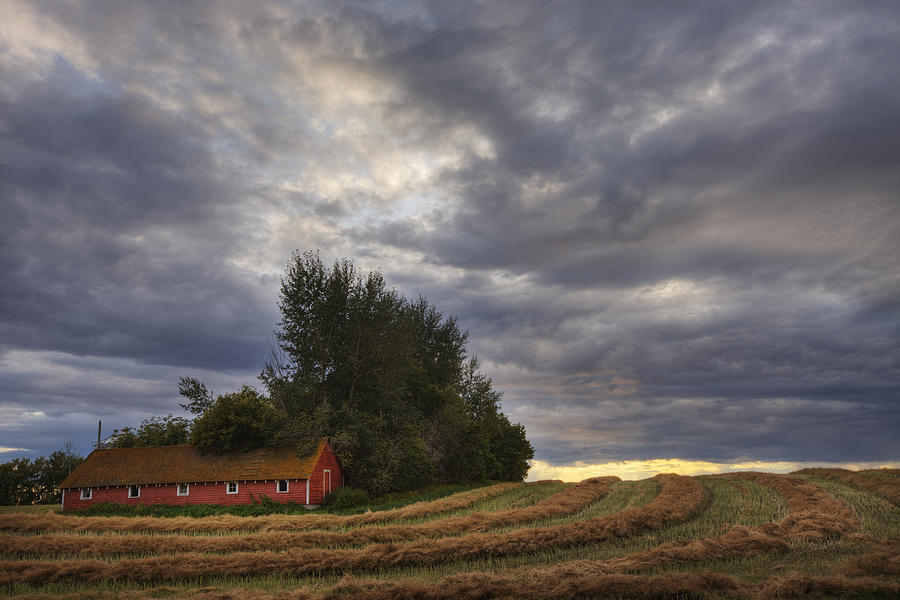 Abandoned Red Barn Against Stormy Photograph by Dan Jurak