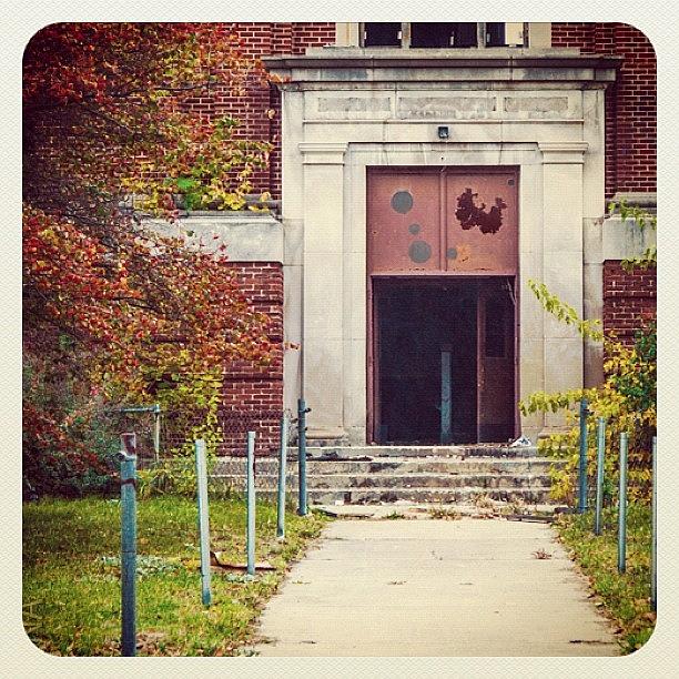 Nature Photograph - Abandoned School. Detroit by Maria Lankina