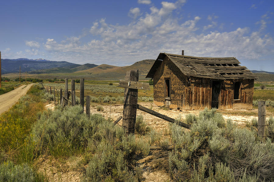 Abandoned Shack Photograph by Don Wolf