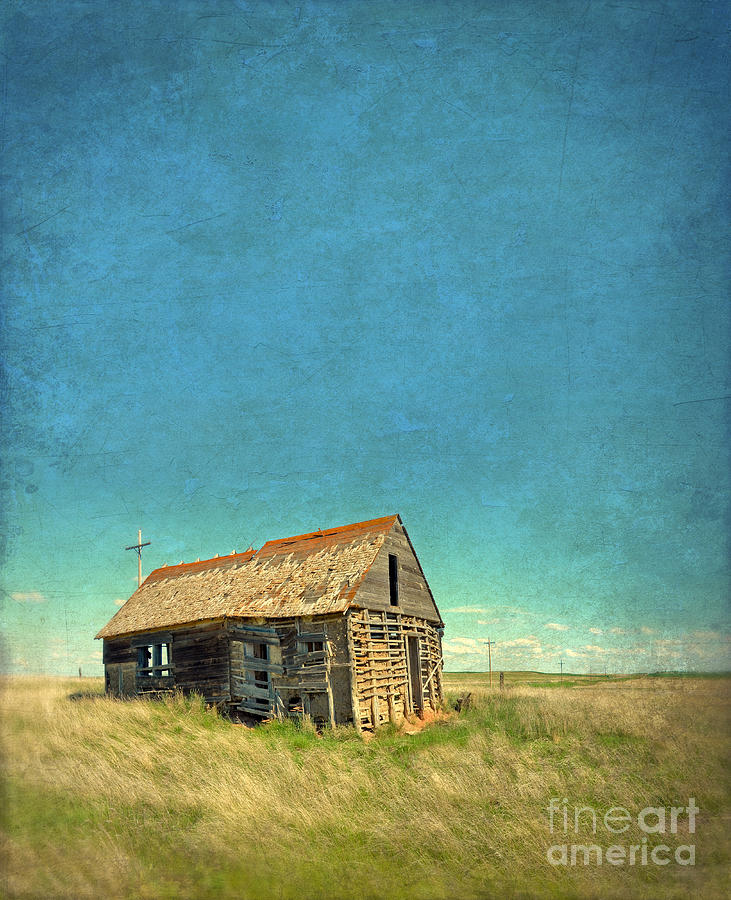 Abandoned Shack Photograph By Jill Battaglia Fine Art America