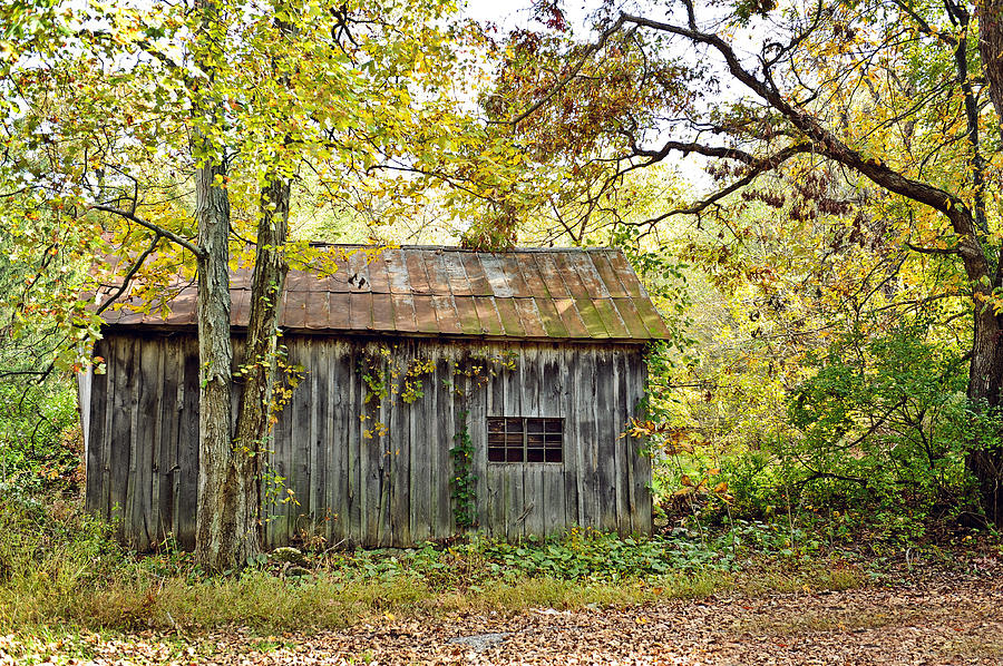 Abandoned shed Photograph by Kelley Nelson