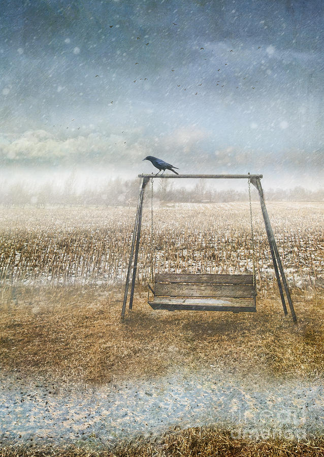 Abandoned  swing in first snow storm of winter Photograph by Sandra Cunningham