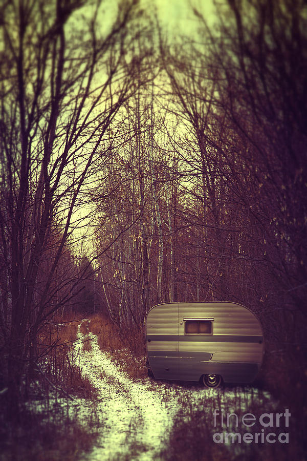 Abandoned trailer in the woods Photograph by Sandra Cunningham