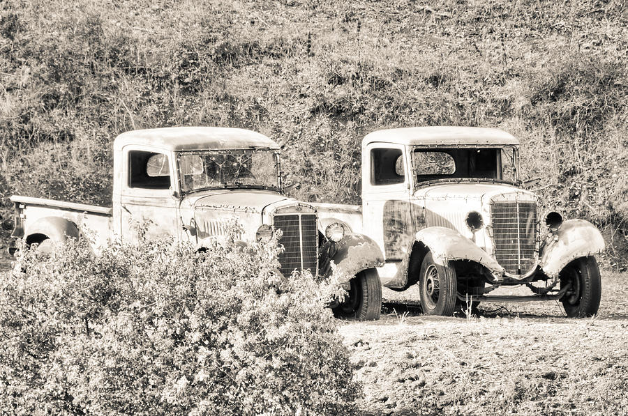 Abandoned Trucks Black and White Photograph by Connie Cooper-Edwards