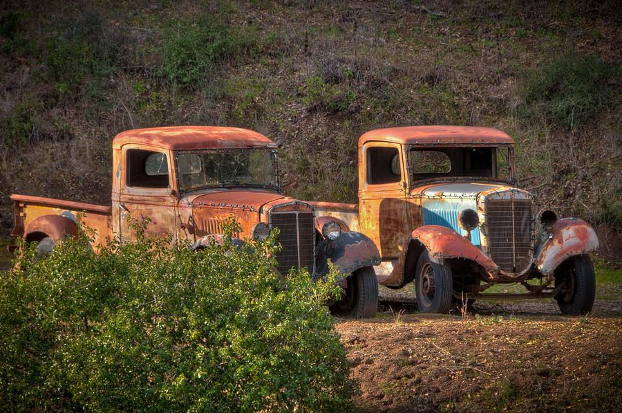 Abandoned Trucks Photograph by Connie Cooper-Edwards