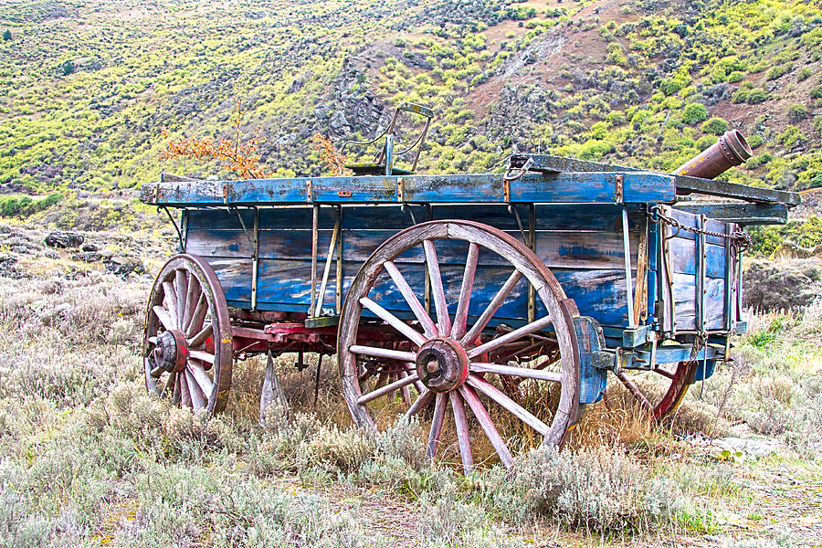 Abandoned wagon HDR Photograph by Carole Lloyd