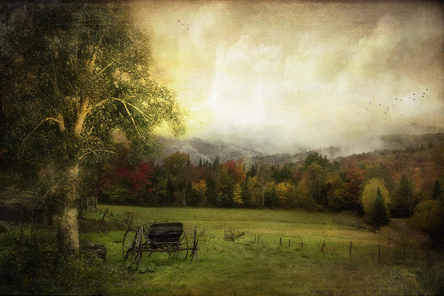 Fall Photograph - Abandoned Wagon by John Rivera