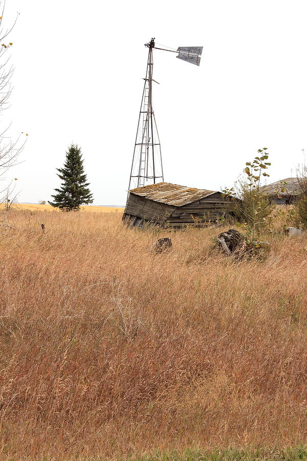 Abandoned Windmill Photograph by Jim Sauchyn