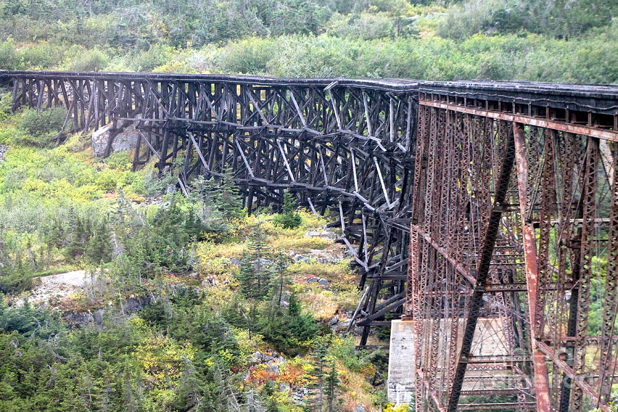 Abandoned wooden bridge Photograph by Pamela Walrath