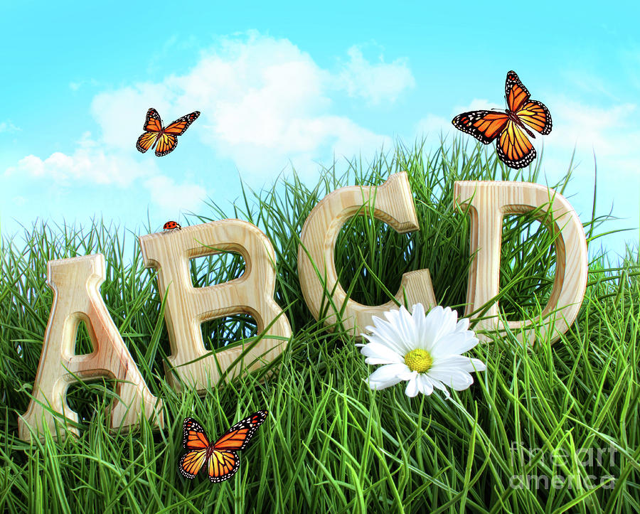 ABC letters with daisy in grass Photograph by Sandra Cunningham