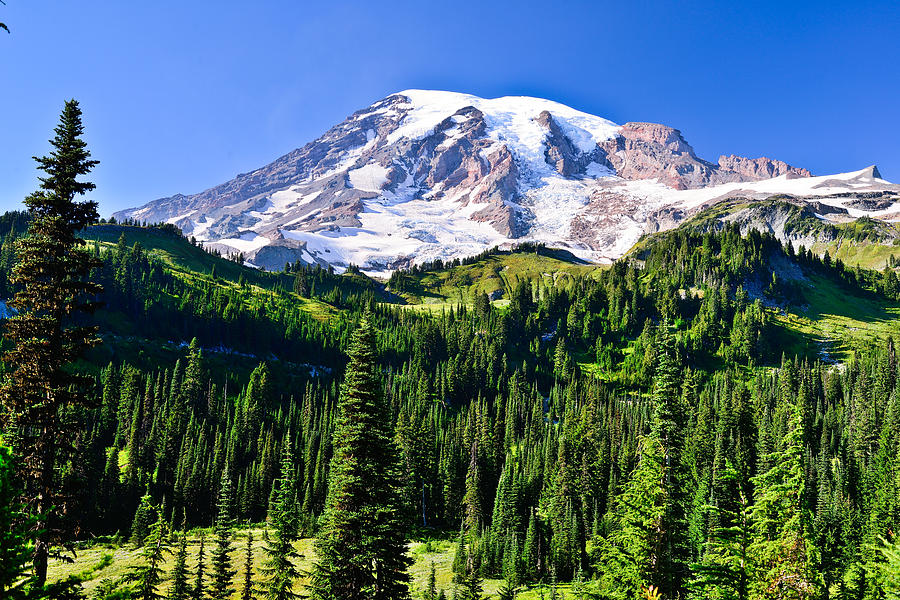 Mount Rainier National Park Photograph - Above The Tree Line by Greg Norrell