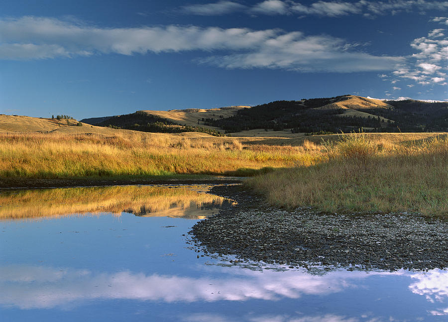 Absaroka Range And Slough Creek Photograph by Tim Fitzharris
