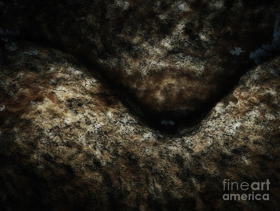 Absrtact Rock Photograph by David Waldrop