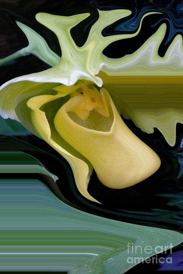 Abstract Photograph - Abstract  3 Golden Slipper by Robert Sander