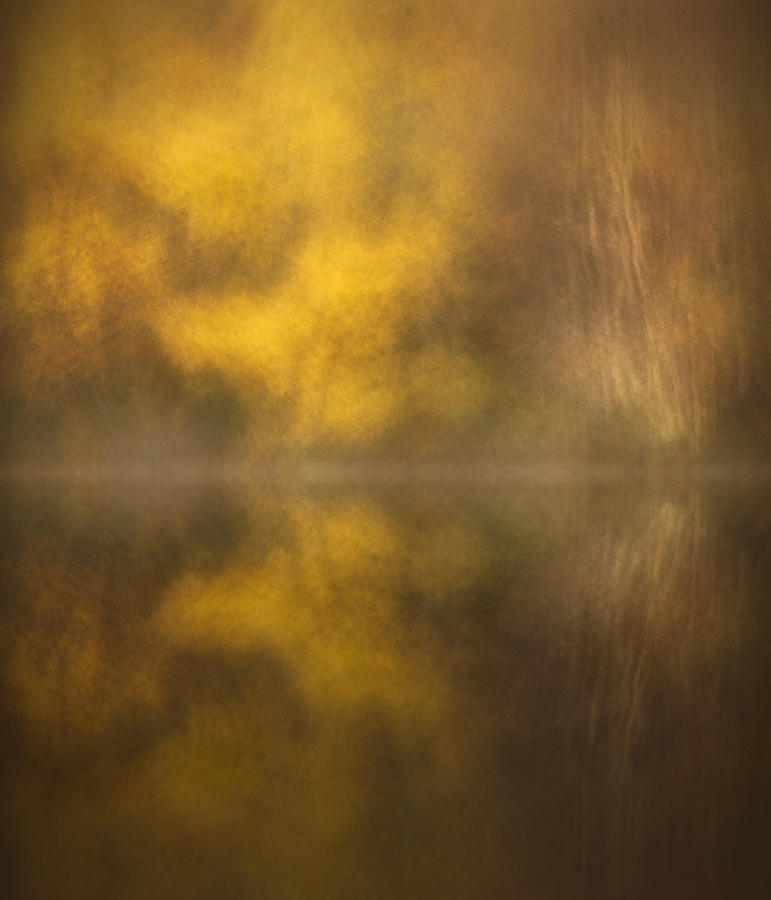Abstract Birch Reflections Photograph by Andy Astbury