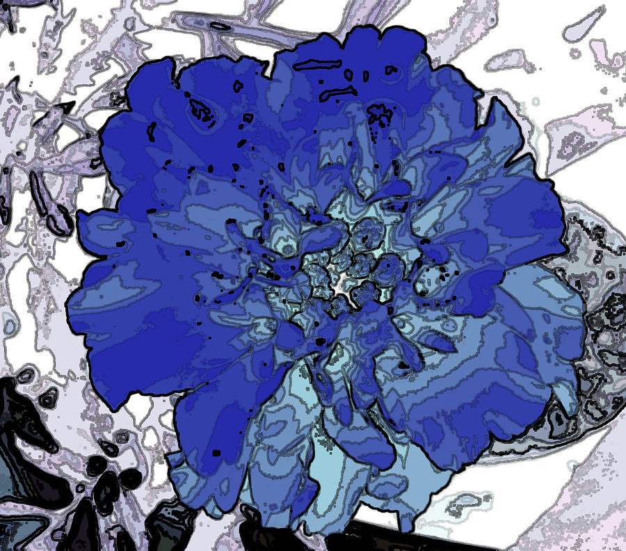 Abstract Blue Flower on White Photograph by Mary Sedivy Fine Art America