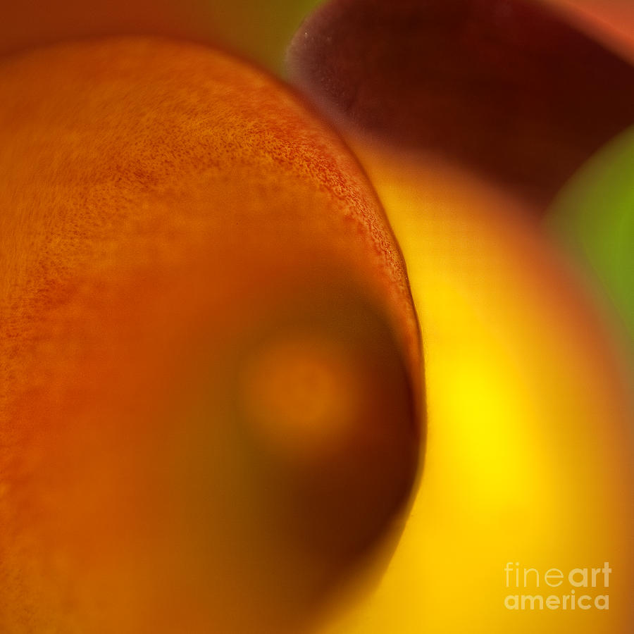 Abstract Cala - Square 3 Photograph by Lori Grimmett