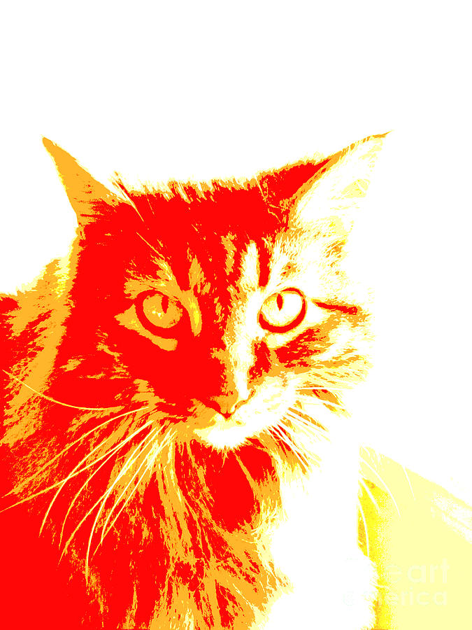Abstract Cat Red and Yellow Photograph by Ann Powell